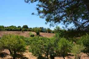 Trullo Alfredo